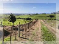 Rural Fencing